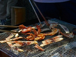 DSC_5448.jpg