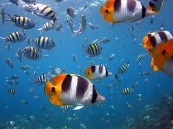 IMG_1747.jpg