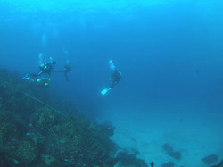 IOP 20081227.jpg