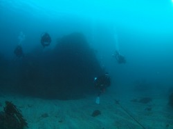 P1011271.jpg