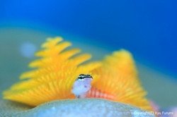 _MG_6440.jpg