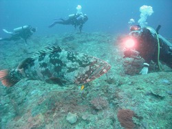 papua0130.jpg