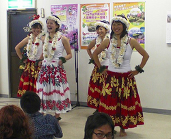 papalagi fla girls