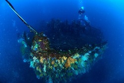 wreck0212.jpg