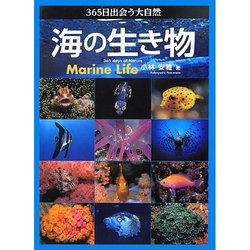 海の生き物.jpg