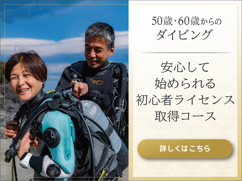 プラチナダイバーコース